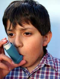 Common Triggers Of Asthma Attacks In