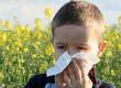 Coping With Hay Fever