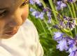 Potential Causes of Allergies in Kids