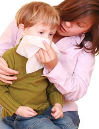 Dust Allergy dust Mite Allergy 