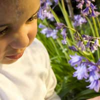 Causes Of Allergies pollen allergen